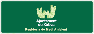 Ajuntament de Xàtiva